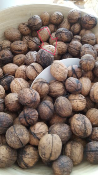 Hidden clue - in nuts